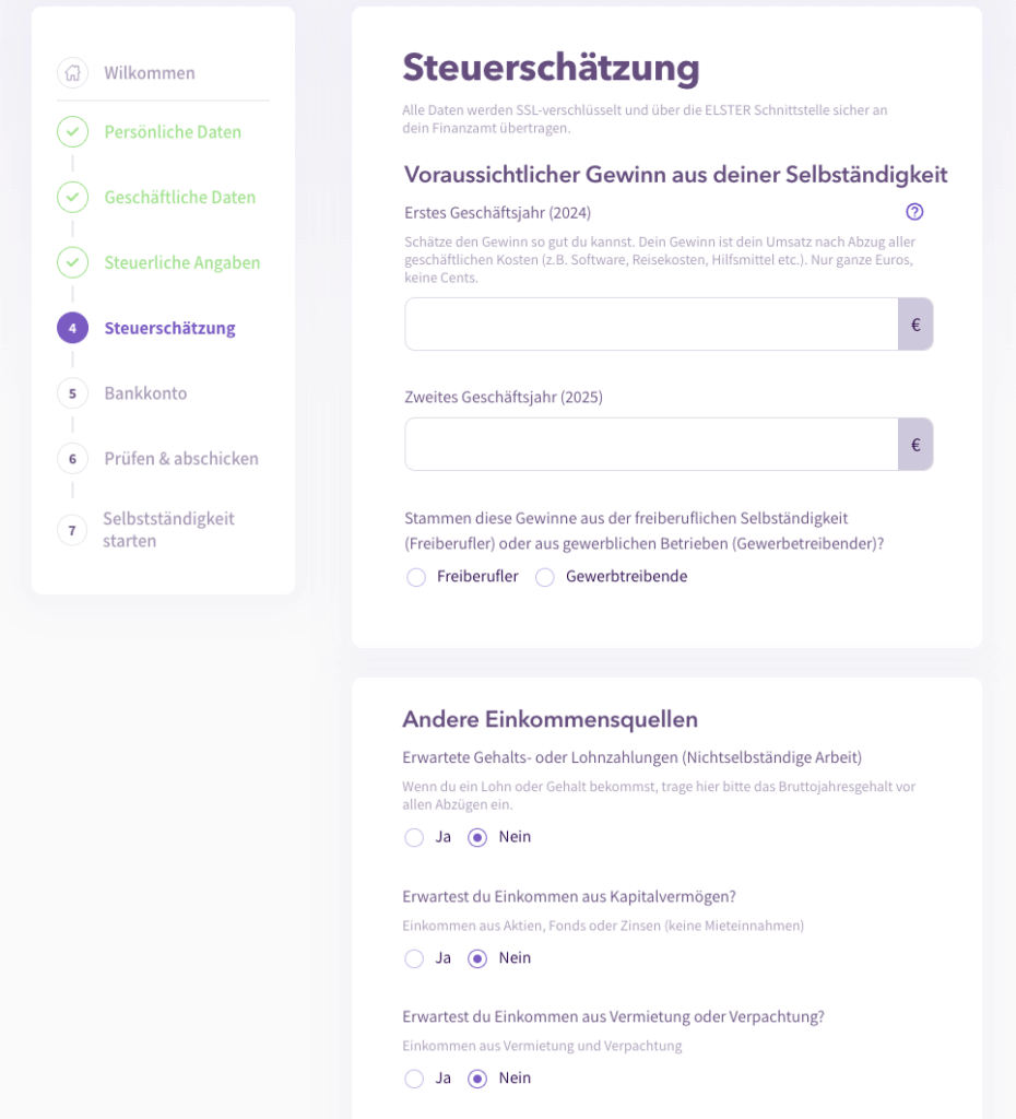 Steuerschätzung im Fragebogen zur steuerlichen Erfassung